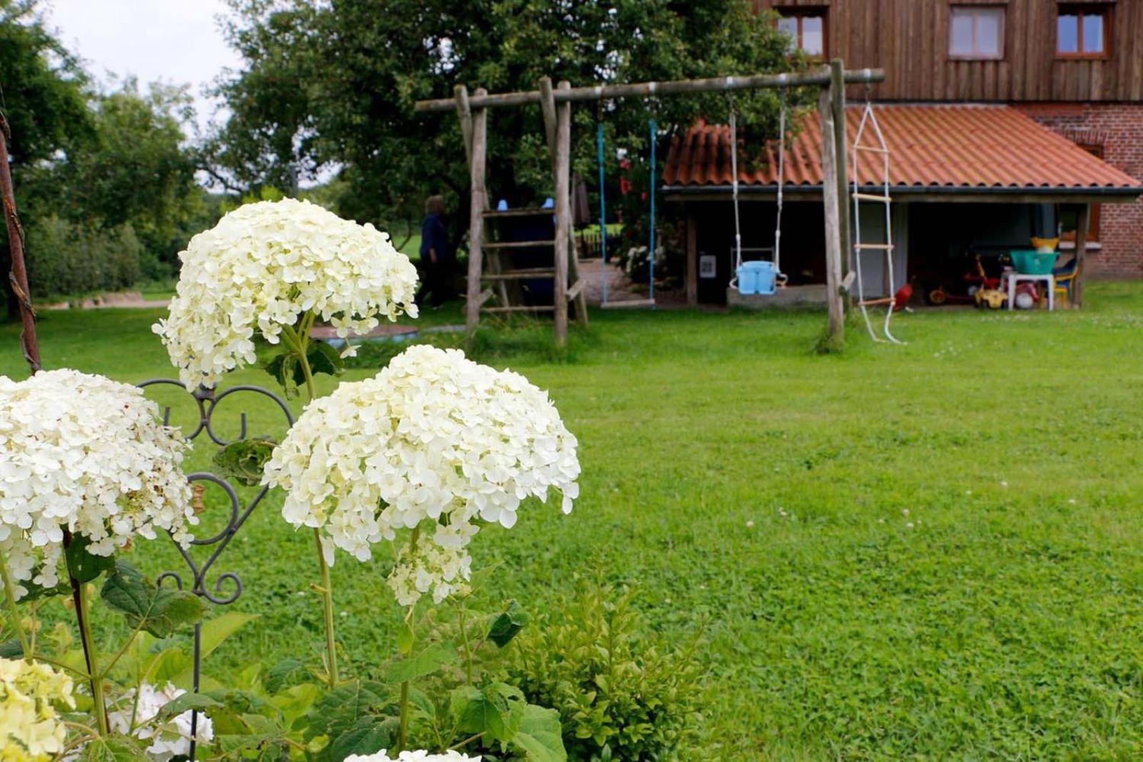 Apartamento Dornroeschen Scheggerott Exterior foto